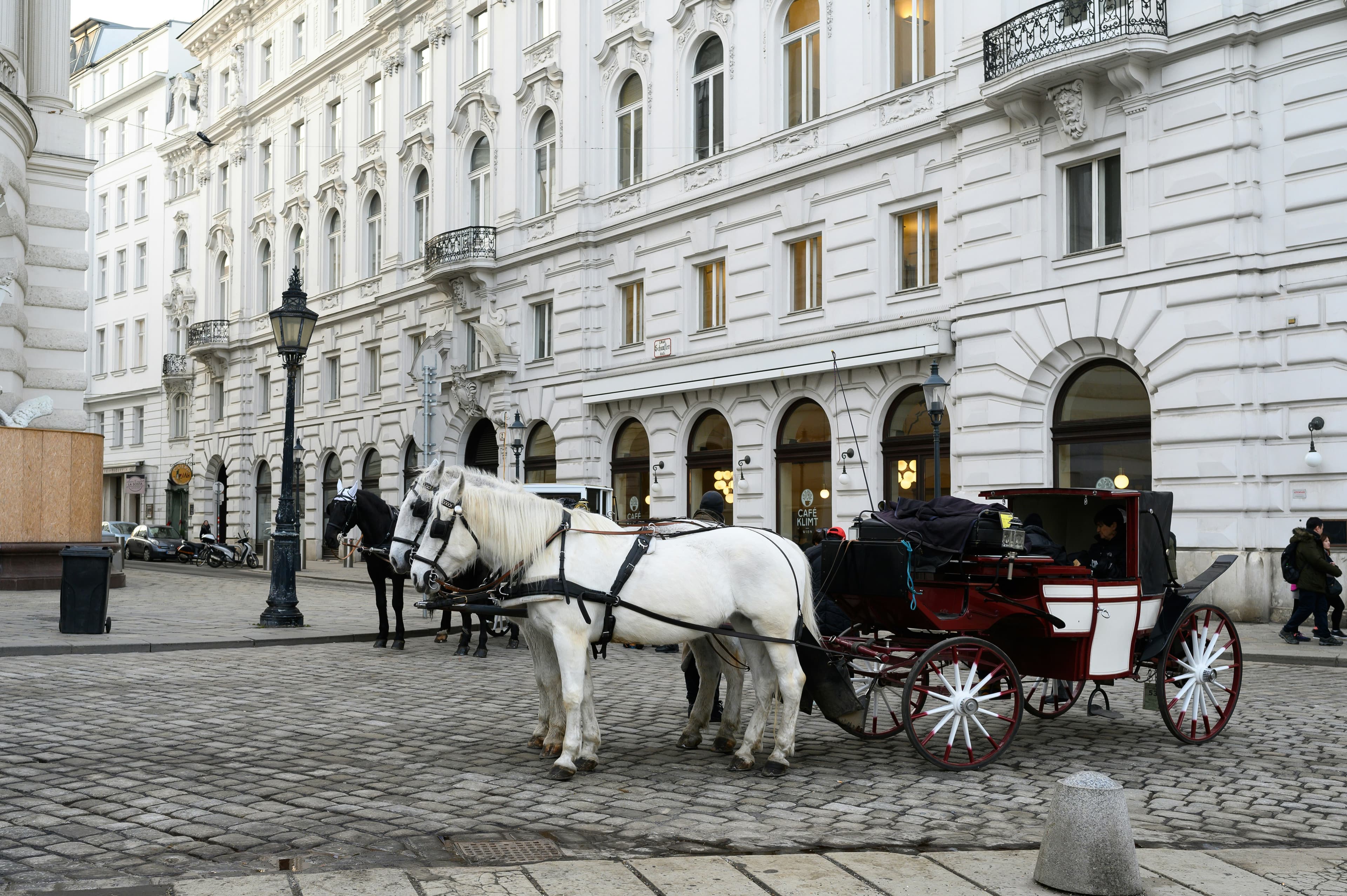 Vienna city experience